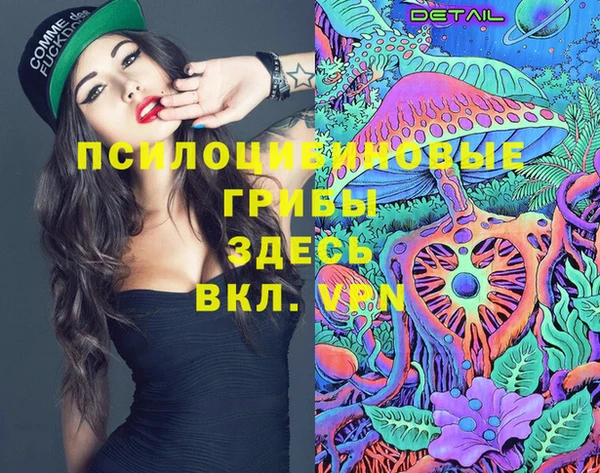 прущие крисы Абинск